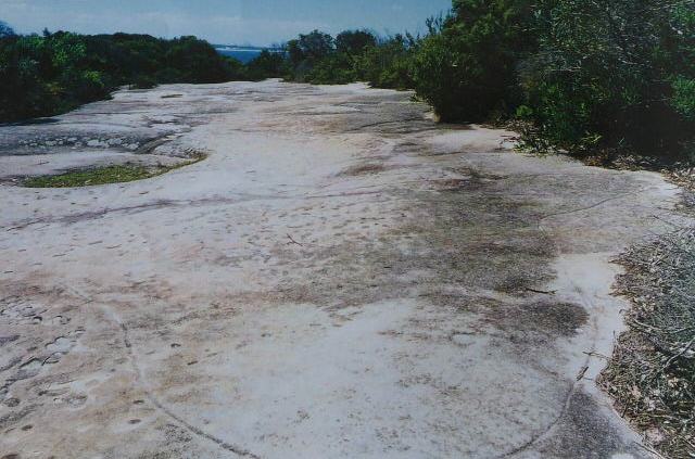 Jibbon Head rock engravings